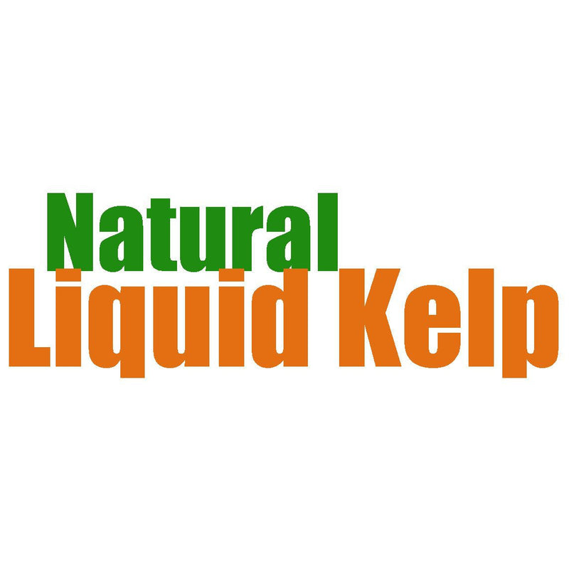 Liquid Kelp Organic Seaweed Fertilizer, 1 quart of concentrate - GS Plant Foods