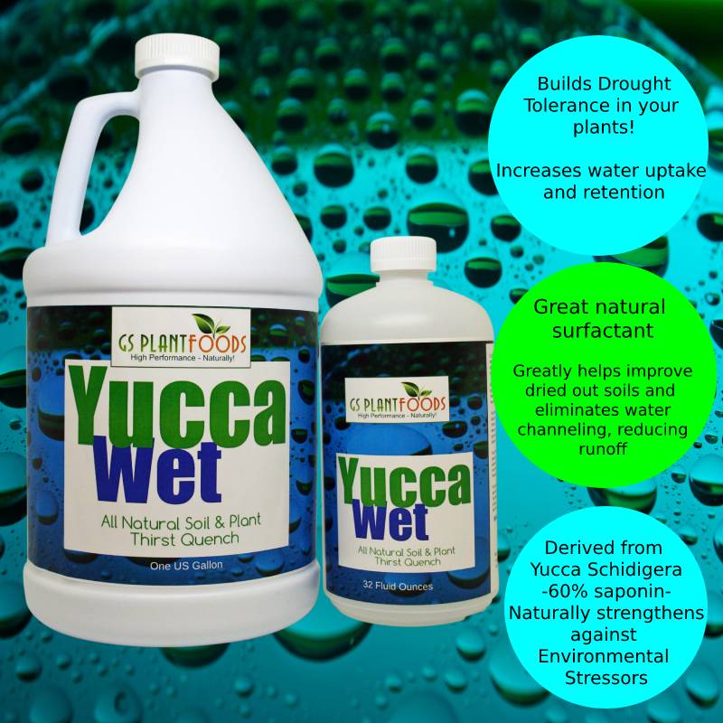 Yucca Wet, Liquid Yucca Extract- Organic surfactant Liquid Concentrate - GS Plant Foods