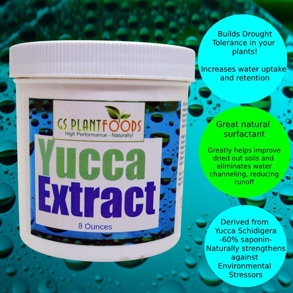 Yucca Extract- Organic wetting Agent and surfactant 8oz - GS Plant Foods