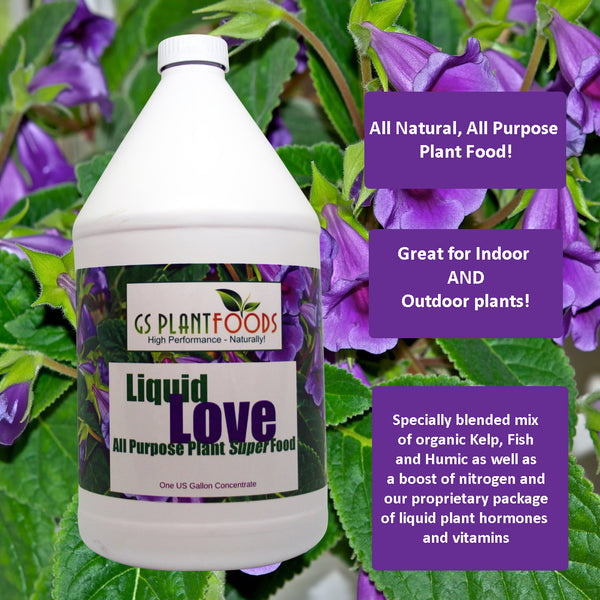 Liquid Love All Purpose Natural Plant Food, 1 Gallon concentrate - GS Plant Foods